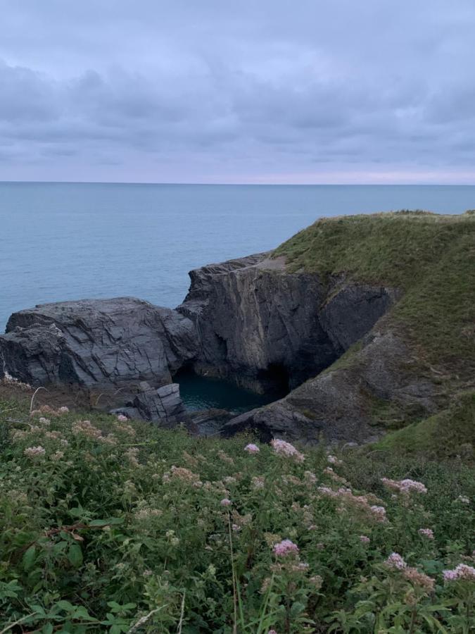 Вілла Wild Coastal Retreat At Troed Y Rhiw Aberporth, West Wales Екстер'єр фото