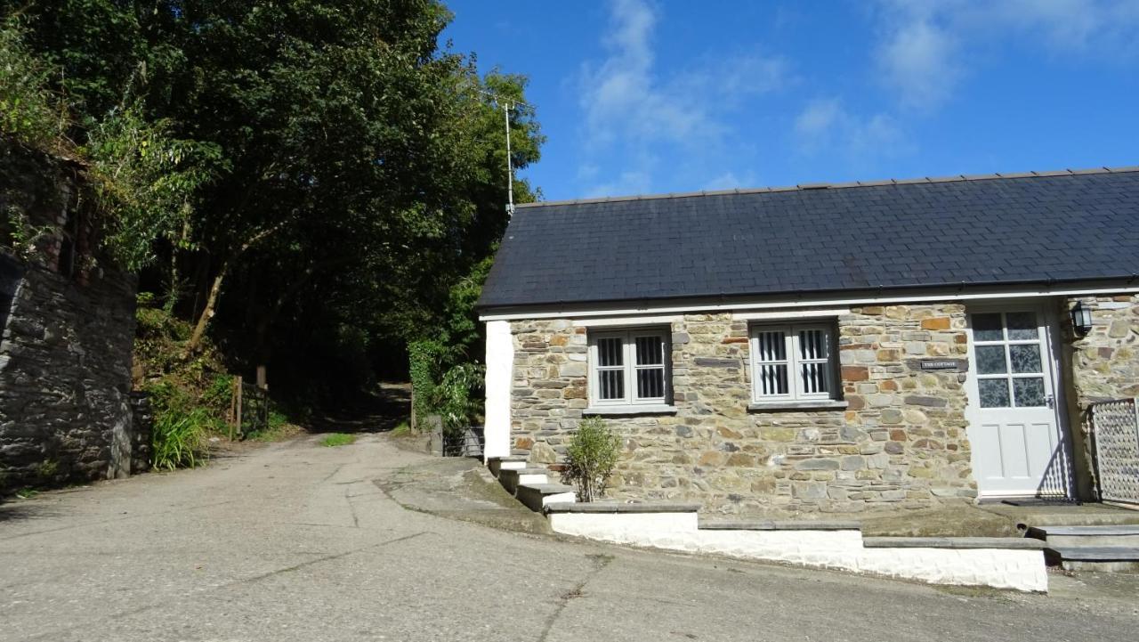 Вілла Wild Coastal Retreat At Troed Y Rhiw Aberporth, West Wales Екстер'єр фото