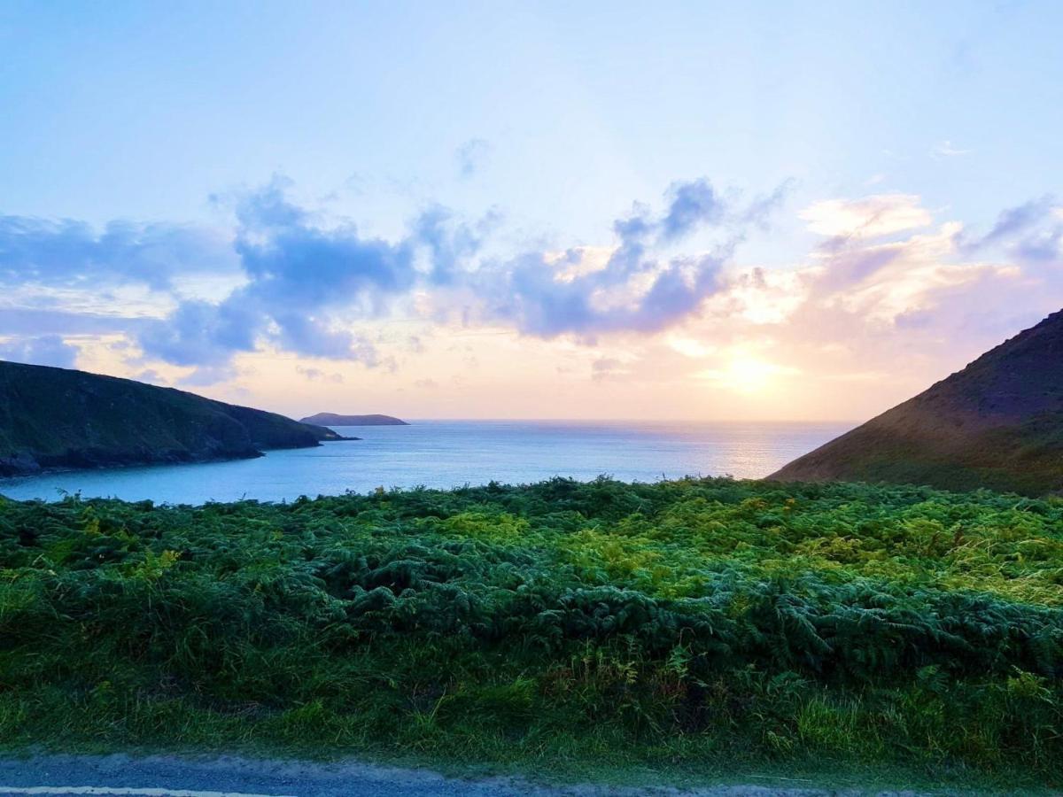 Вілла Wild Coastal Retreat At Troed Y Rhiw Aberporth, West Wales Екстер'єр фото